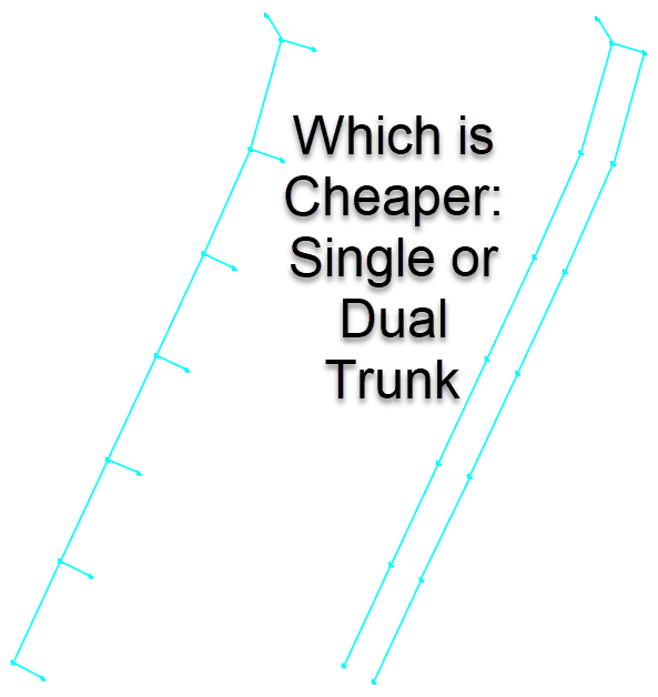 Single vs Dual Trunk Single vs Dual Trunk
